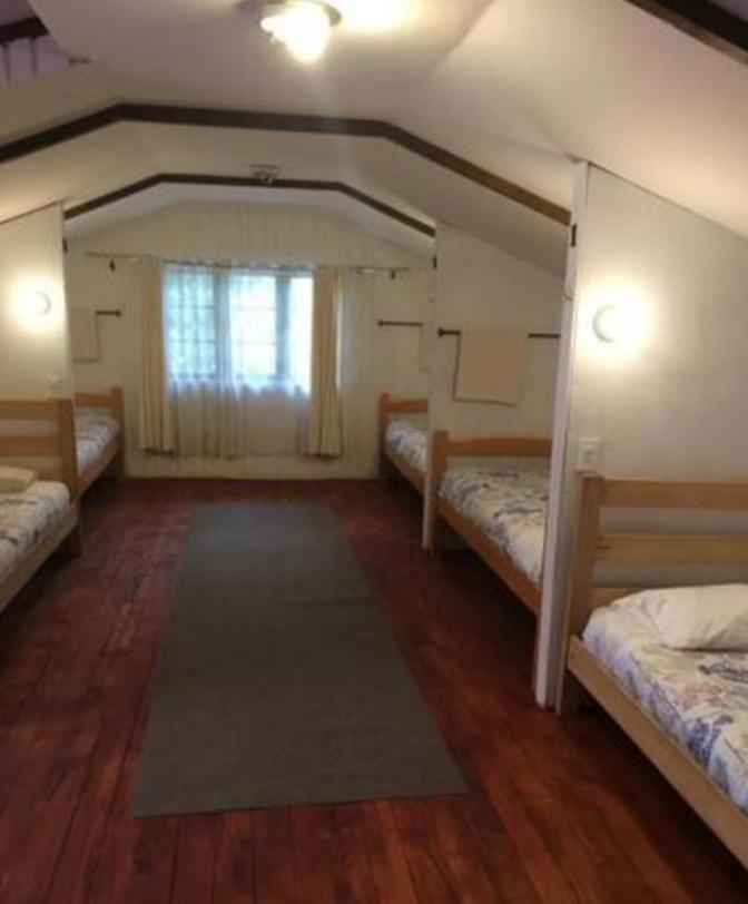 Alma Nativa Hostel Pucón Buitenkant foto