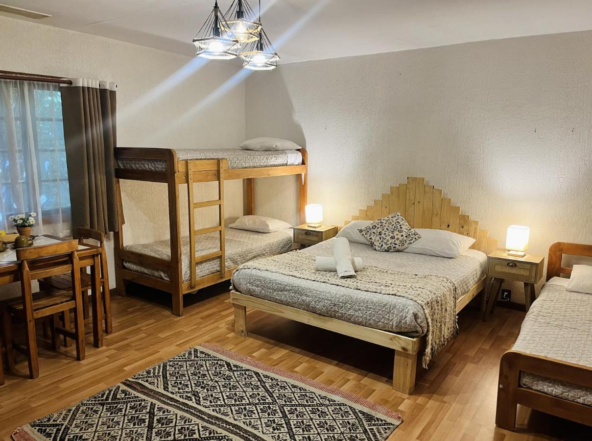 Alma Nativa Hostel Pucón Buitenkant foto